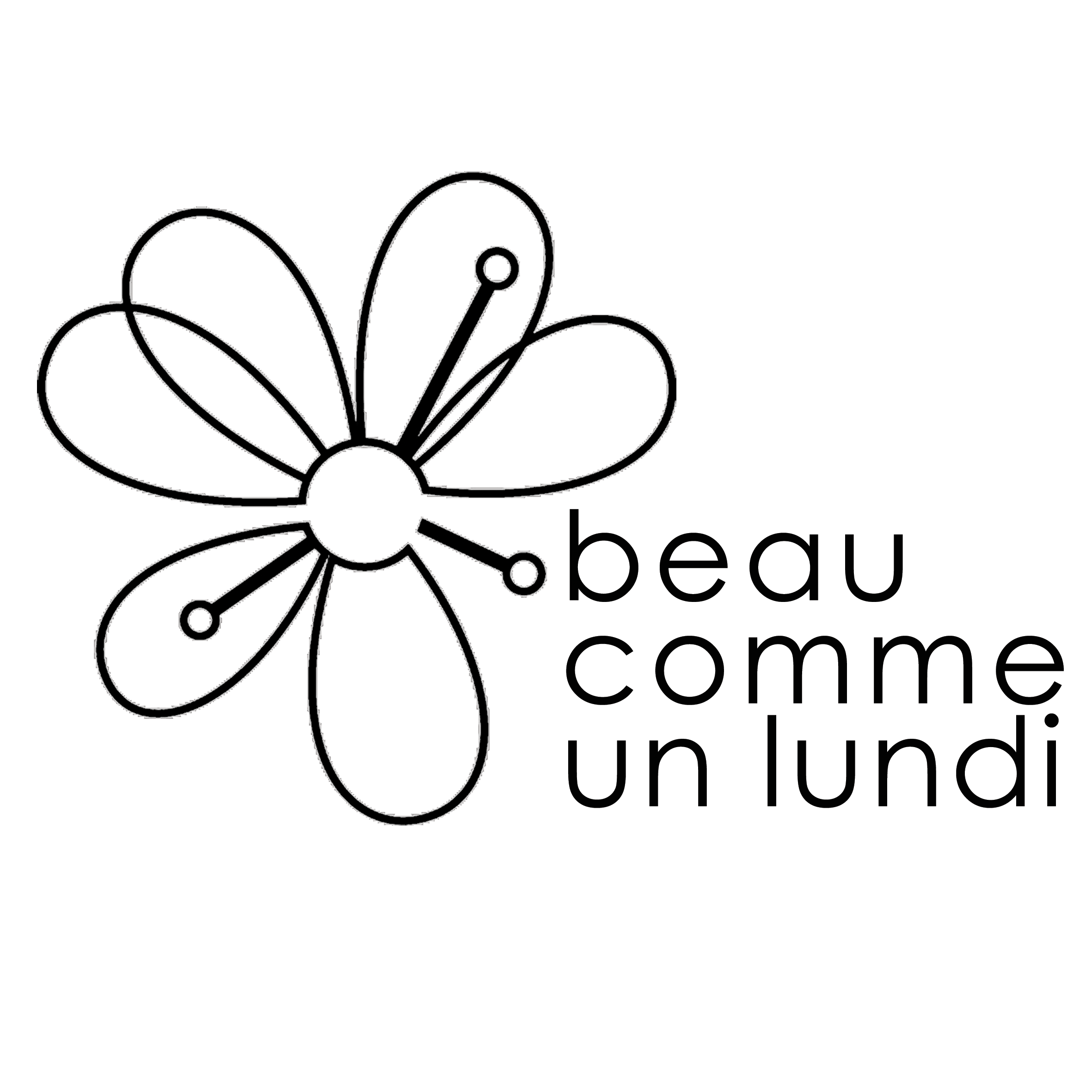 Featured image for “Accueil”