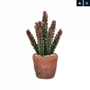 screenshot 2022 02 07 at 11 13 39 terracotta love plante artificielle en pot synthétique terracotta dia 11 x h 28,5 [...]